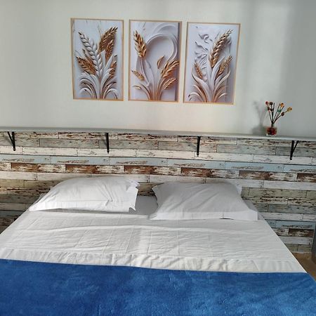 Alpha Hospedaria & Hostel Londrina Extérieur photo